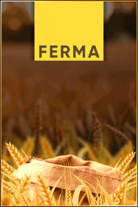 Ferma - второй проект от Drift